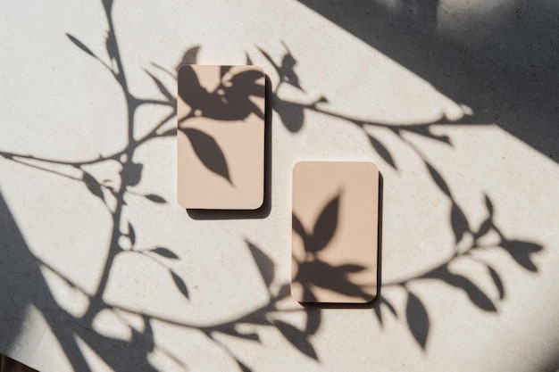 Photo shadows of foliage on beige cards