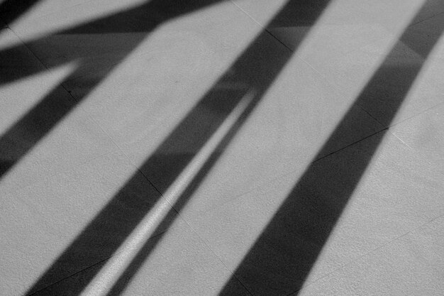 Photo shadows from the window on tile floor