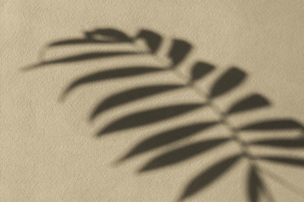 Shadows nature beige gray background. Neutral contrasting flower leaf design.