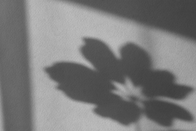 Shadows nature light gray background. Neutral contrasting flower leaf design.