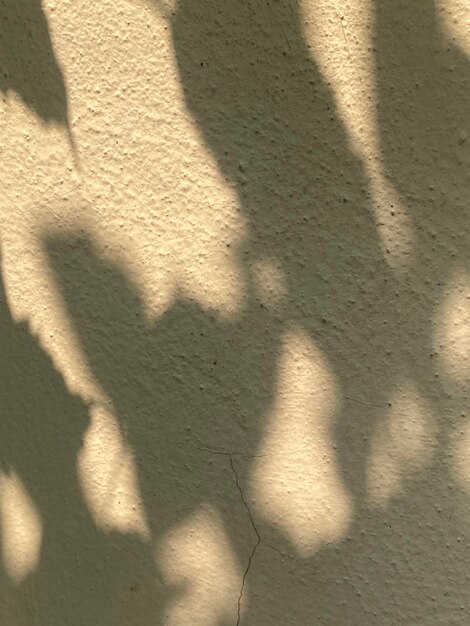 Photo shadows on a wall in a house in the evening.