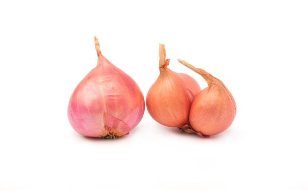 Shallot onions isolated in  group small red on white background spices cooking shallot fresh