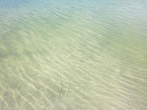 Shallow waves on the beach with translucent clean sand in greenyellow tones A ripple of waves with transparent reflexes and shadows