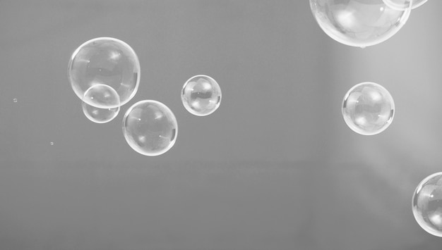 Shampoo bubbles isolated on gray