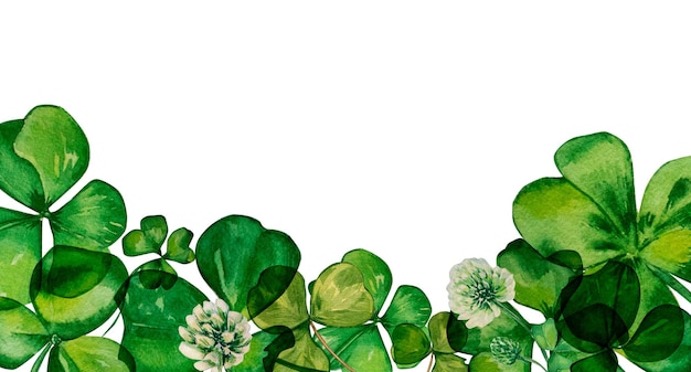 Shamrock and clover border watercolor on white background Hand painted illustration banner with green leaves white flowers Irish symbol for designs