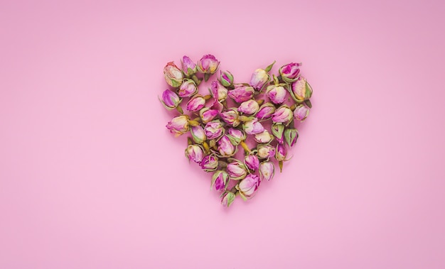 Shape of heart made by dried flowers on pastel background.