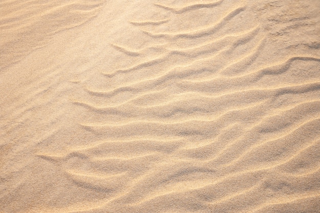 Shapes in the sand