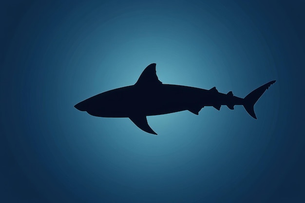 Shark Silhouette Against a Blue Background