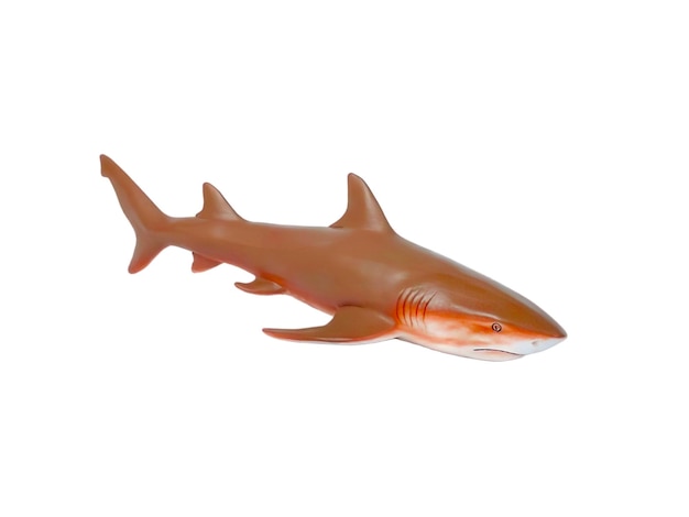 A shark toy with brown color Isolated on white