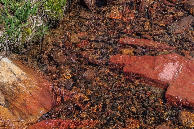 Sharp stone in clear water stream with motley stony bottom in sunlight Colorful mountain stream with mineral water in bright sun Picturesque top view to sunlit multicolor stones in spring water