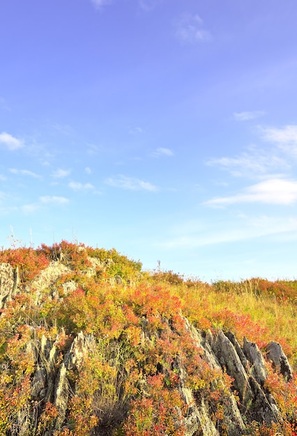 Sharp stones overgrown with grass in the Altai mountains. Siberia, Russia