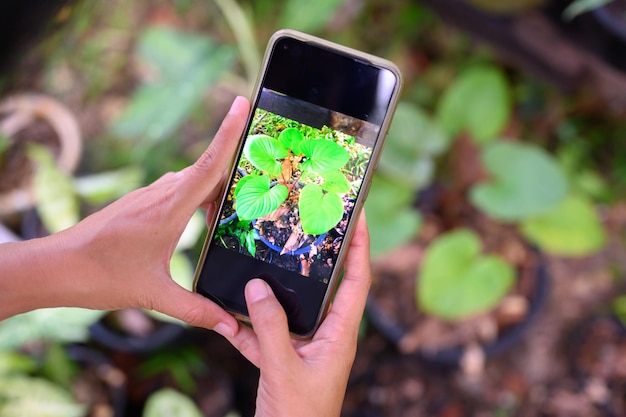 She was using his phone to take pictures of the plants to check the integrity. before posting for sale on social media