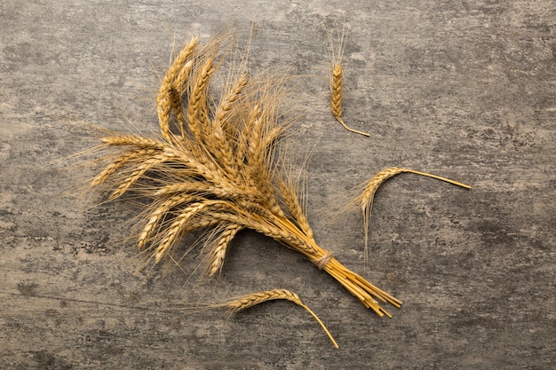 Sheaf of wheat ears close up and seeds on colored background Natural cereal plant harvest time concept Top view flat lay world wheat crisis