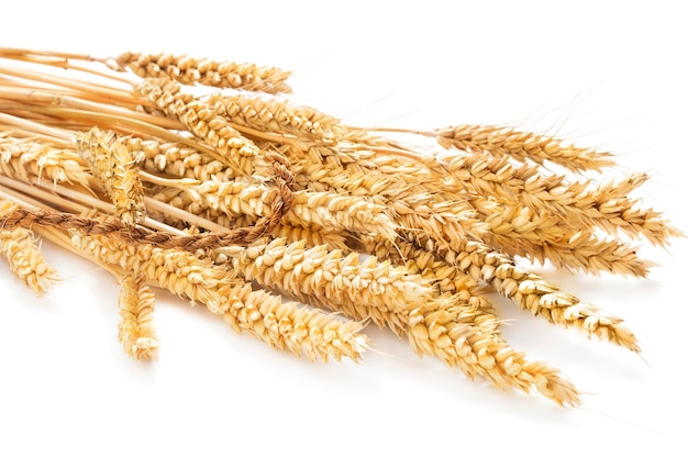 Sheaf of wheat