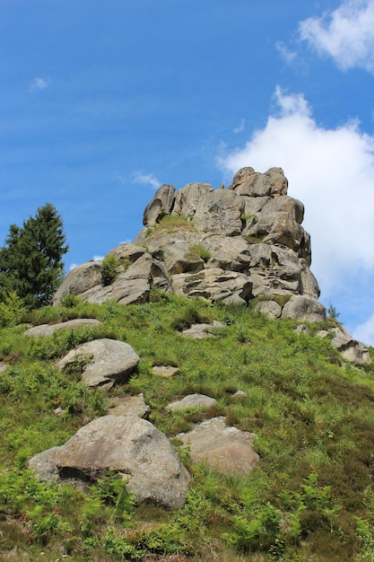 Sheafs of hay standing on the field in Carpathian mountains