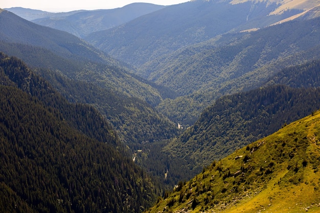 Sheep graze in the meadow Beautiful landscape in the mountains with a road Transport garage route