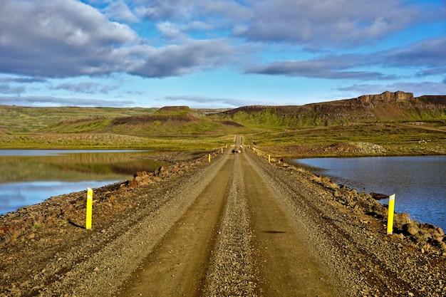 Sheep Walking Down a Rustic Country Dirt Road in Iceland