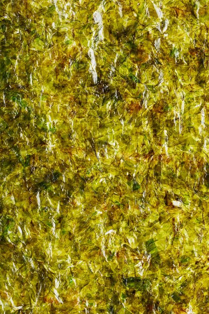 A sheet of dark green Nori seaweed in full view