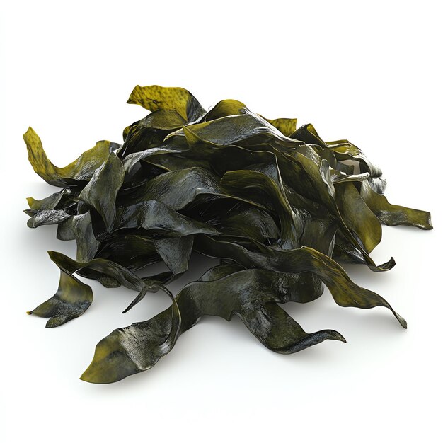 Photo sheets of dried seaweed