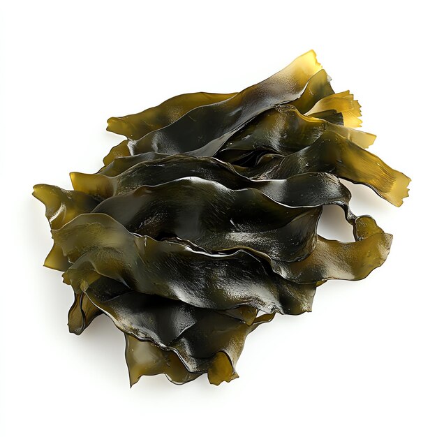 Photo sheets of dried seaweed