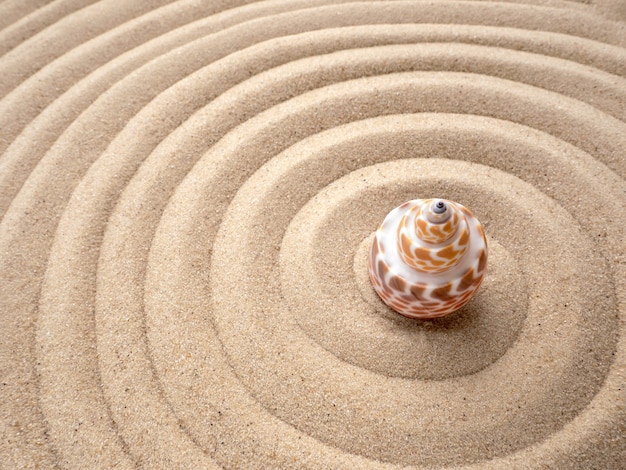 Shell in circles on the sand. Zen concept. Spiral in the sand