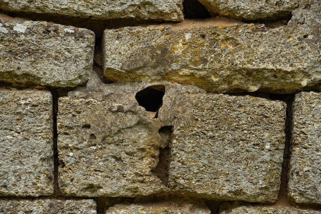 Shell rock wall stone background close up