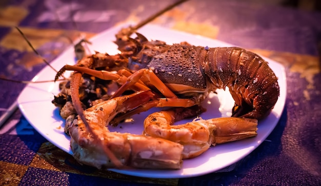 Shellfish plate of crustacean seafood with fresh lobster, mussels, shrimps as an ocean gourmet dinner background