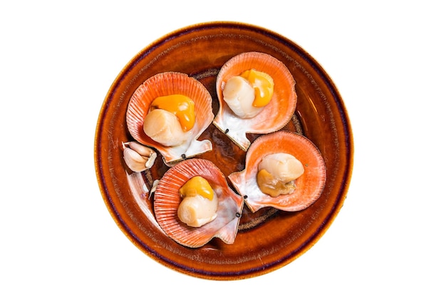 Shellfish raw Scallops on a rustic plate with thyme Isolated on white background