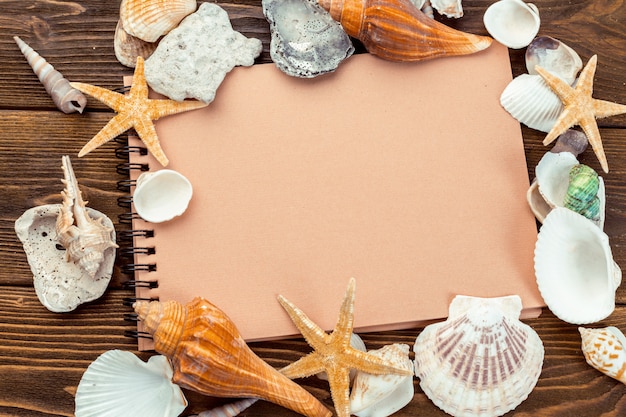 Shells and notepad on wooden table.