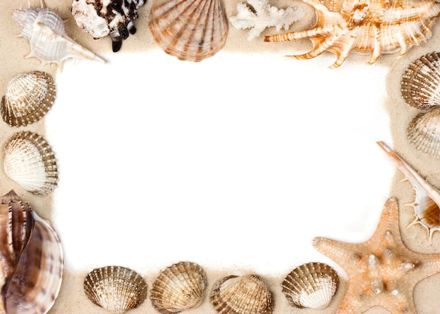 Shells on sand frame