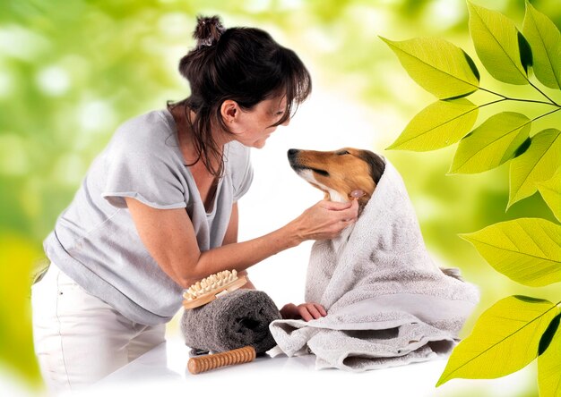 Photo shetland sheepdog and woman in studio