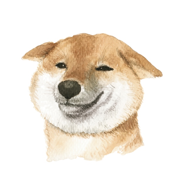 Shiba Inu Dog Watercolor Illustration