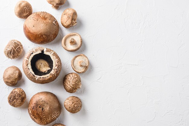 Shiitake and portobello mushrooms set top view