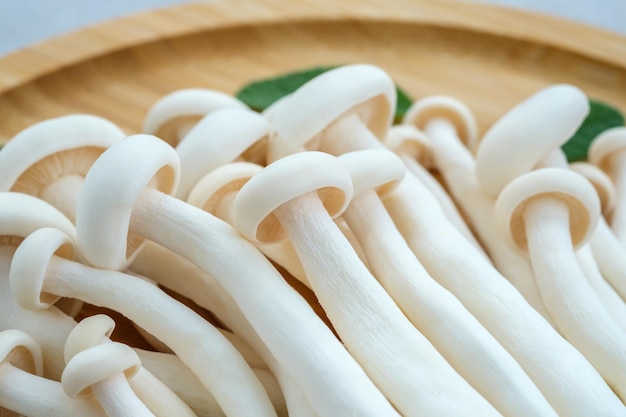 Shimeji white beech mushrooms