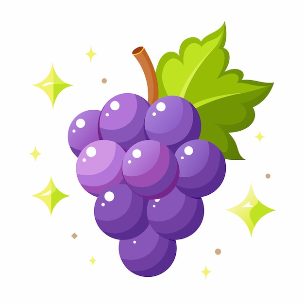 Shinee muscat grape