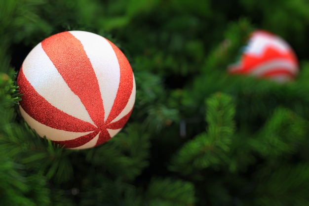 Shiny Christmas ball hanging on pine branches with festive decoration