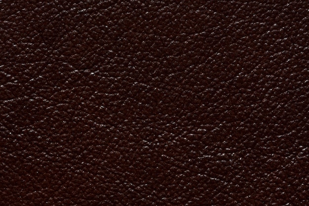 Shiny leather texture in stylish brown colour