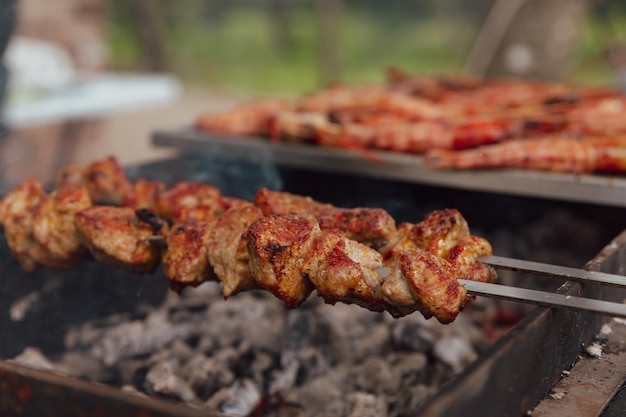 Shish kebab made from pork and cooked on barbecue grill Traditional barbecue picnic food