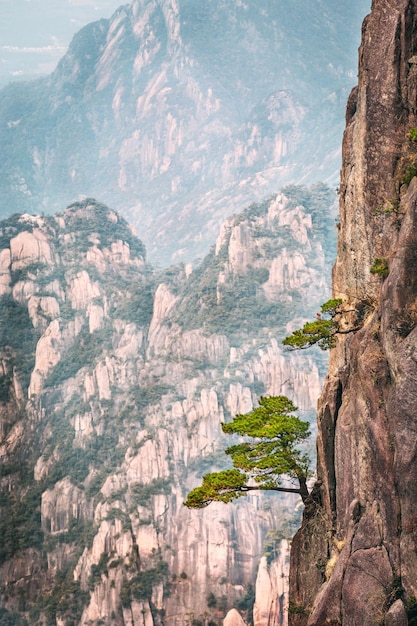 Shixin beginningtobelieve peak in huangshan mountain known as yellow mountain anhui china