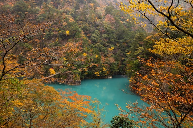 Shizuoka Yume no Tsuribashi suspension bridge on the emerald river