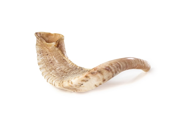 Shofar (horn) on white background. Rosh Hashanah Jewish holiday) concept