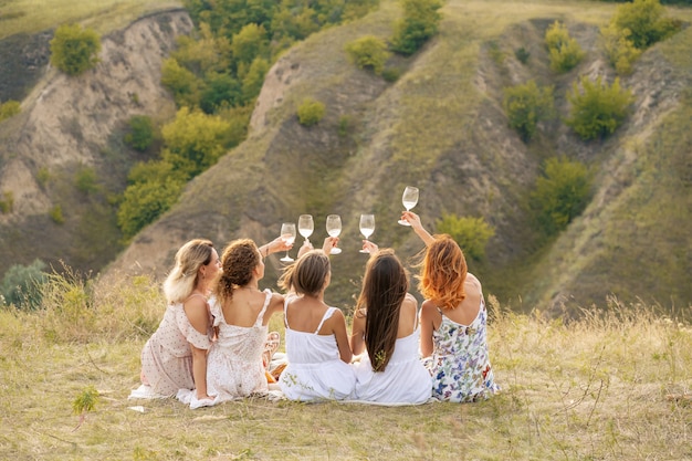 Shoot from back. The company of gorgeous  female friends having fun, cheers and drink wine, and enjoy hills landscape picnic.