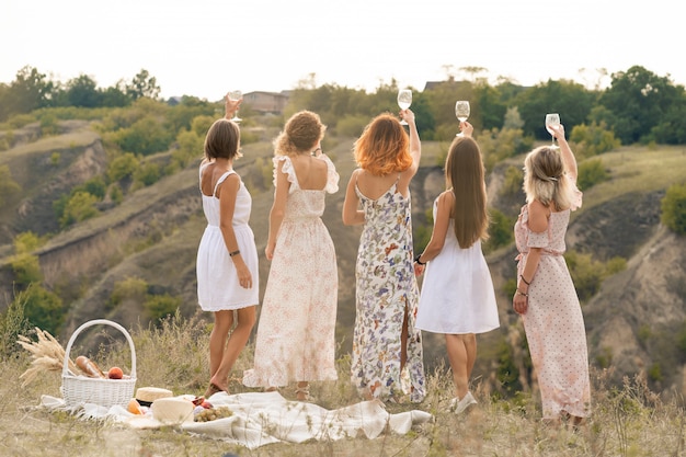 Shoot from back. The company of gorgeous  female friends having fun, cheers and drink wine, and enjoy hills landscape picnic.