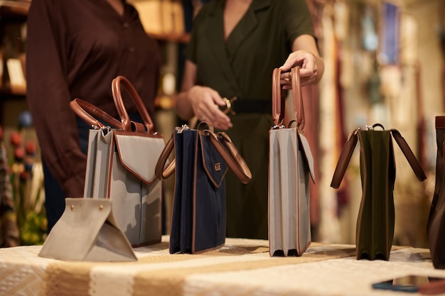 Shopping Assistant Showing Bags