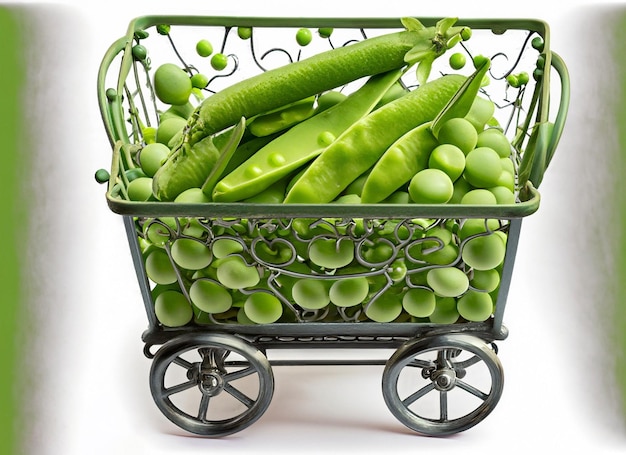 Shopping cart healthy food for good health vegetable