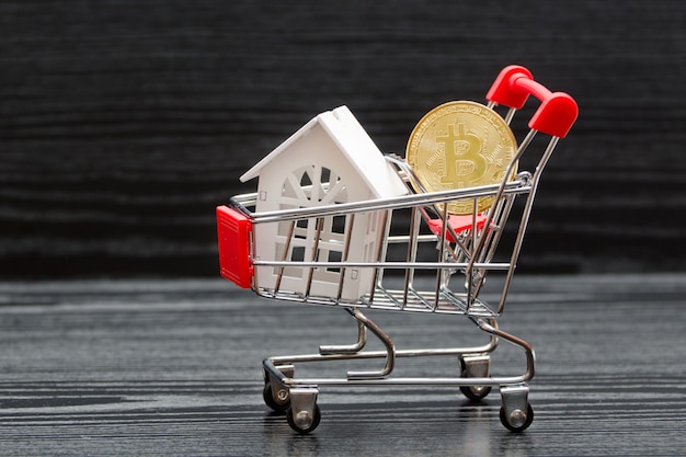 Shopping cart with white house and coin Bitcoin