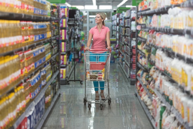 Shopping Woman Looking at the Shelves in the Supermarket  Portrait of a Young Girl in a Market Store With a Shopping Cart