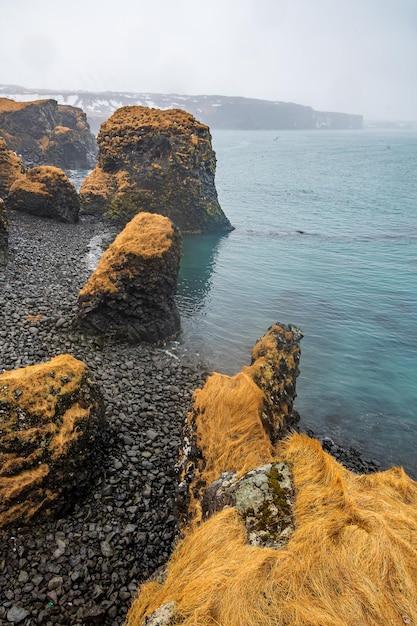 The shore in Arnarstapi little village of Snaefellsnes Peninsula in Iceland