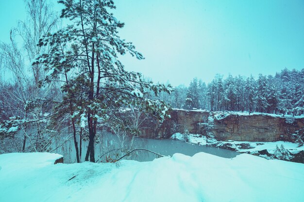 The shore of the lake is covered with snow in winter View of a beautiful lake in snowy winter