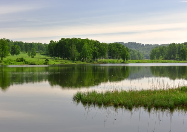 The shore of the lake in spring